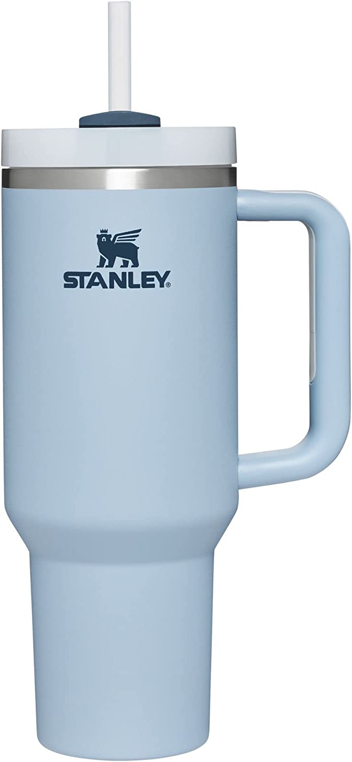 Stanley Quencher 20-fl oz Stainless Steel Insulated Tumbler in the