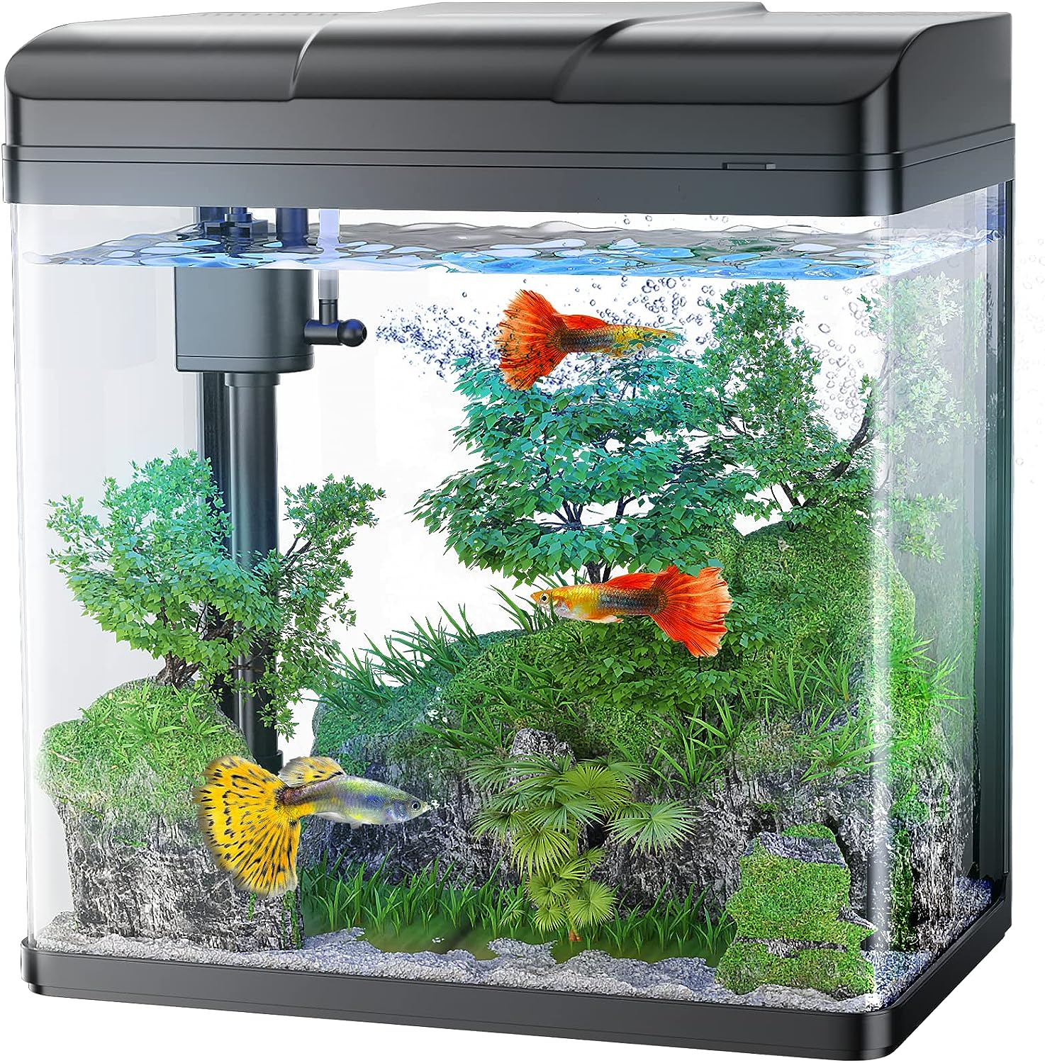 Fish Tanks - Starter Fish Tanks & Aquarium Starter Kits