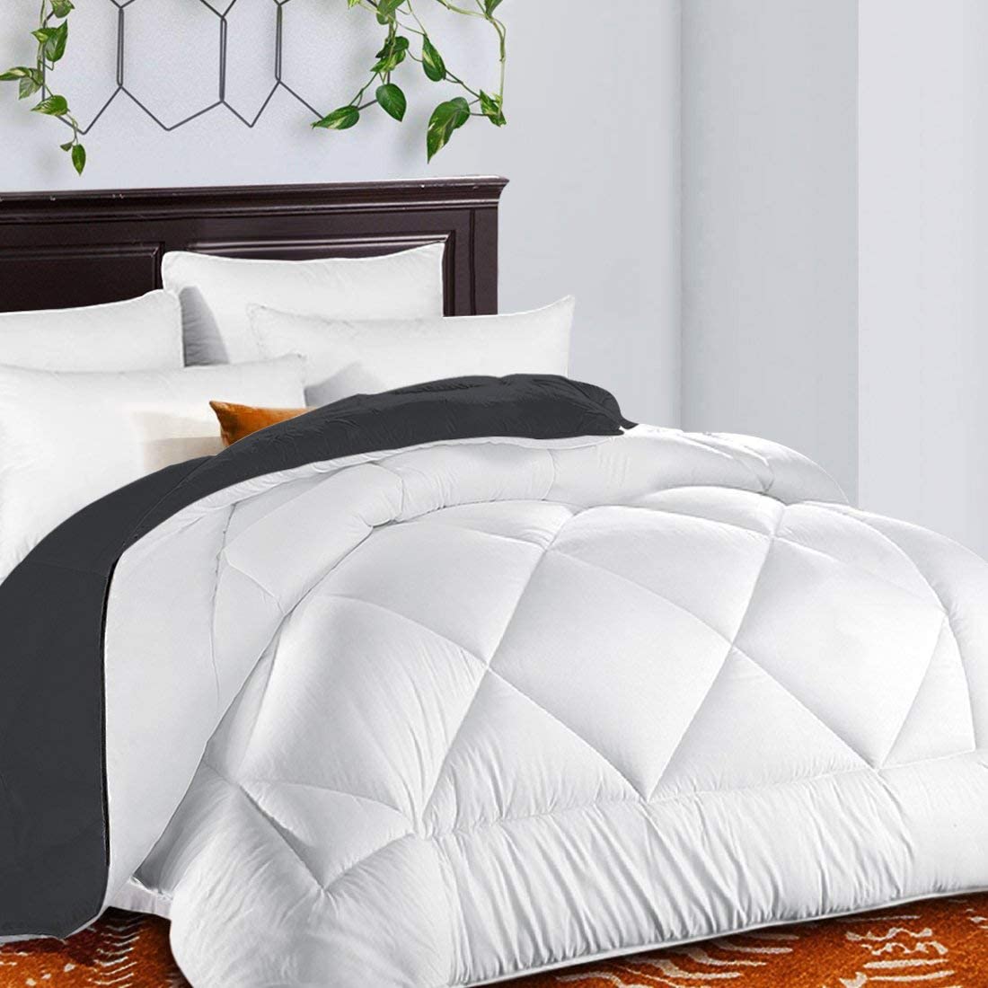 tekamon all season queen comforter