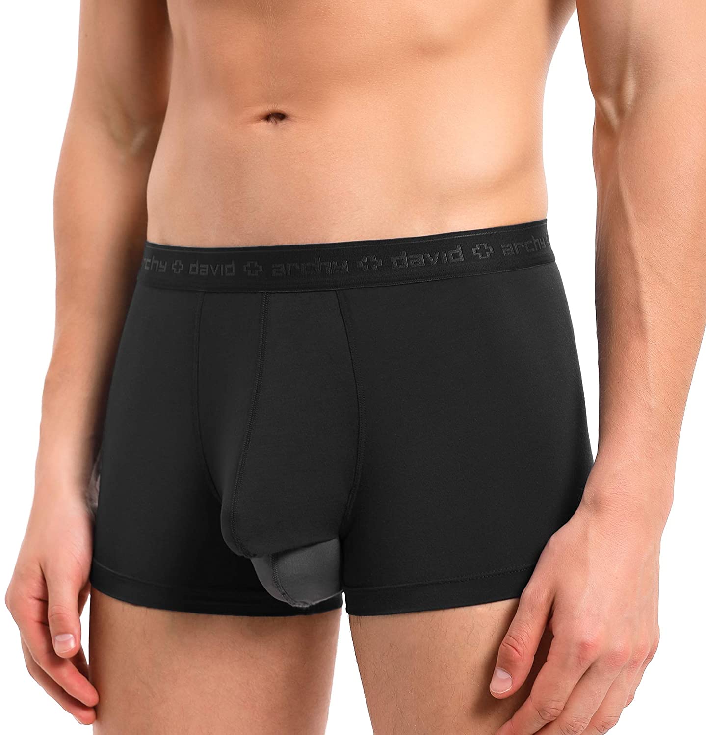 David Archy Mens Dual Pouch Underwear Micro Modal Trunks Separate 9122