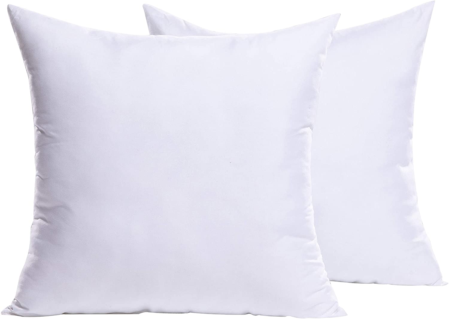  EDOW Throw Pillow Insert, Set of 2 Down Alternative