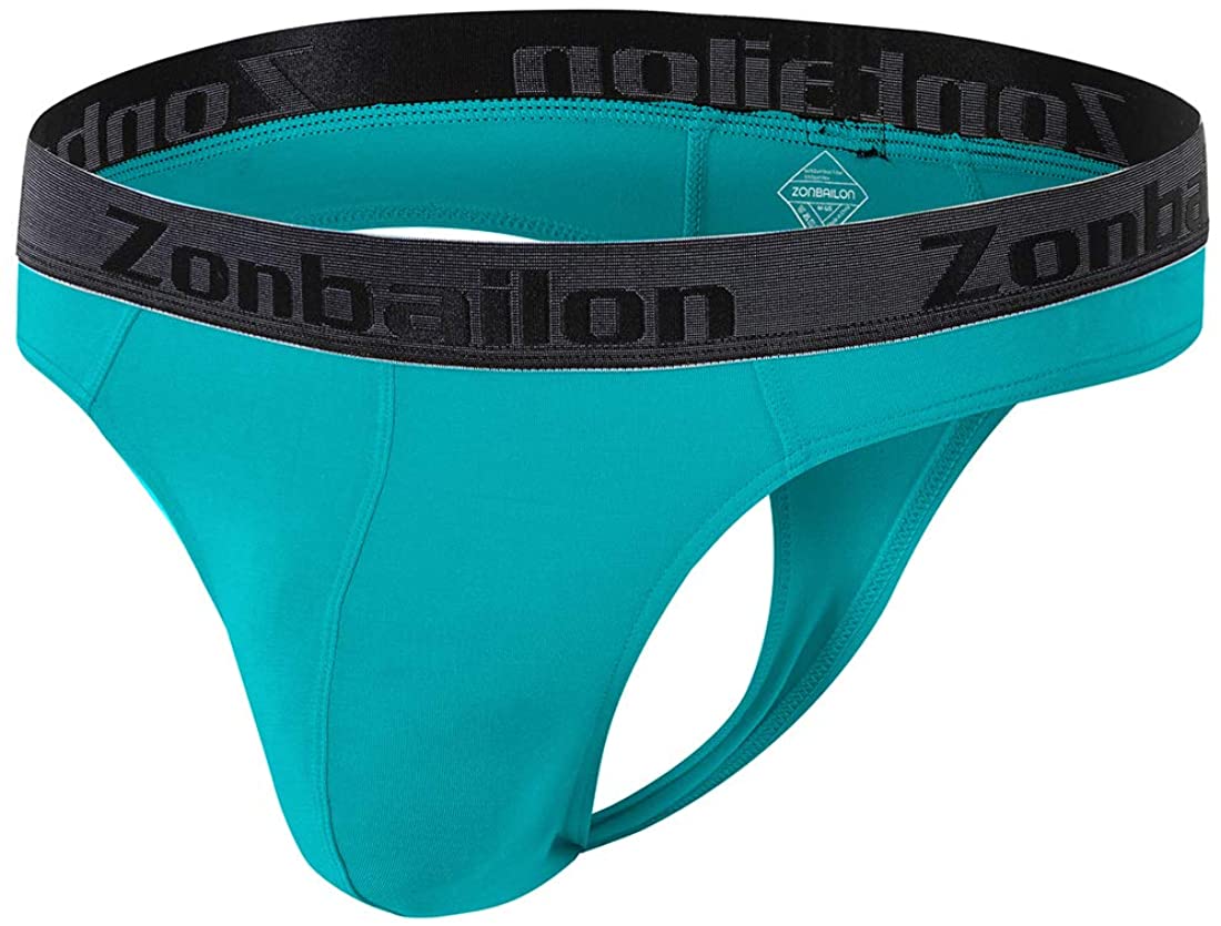 ZONBAILON Ice Silk Thongs and G-Strings for Male Seamless Thong with Pouch Soft Waist 1Pack/3Pack/6Pack M L XL 2XL 