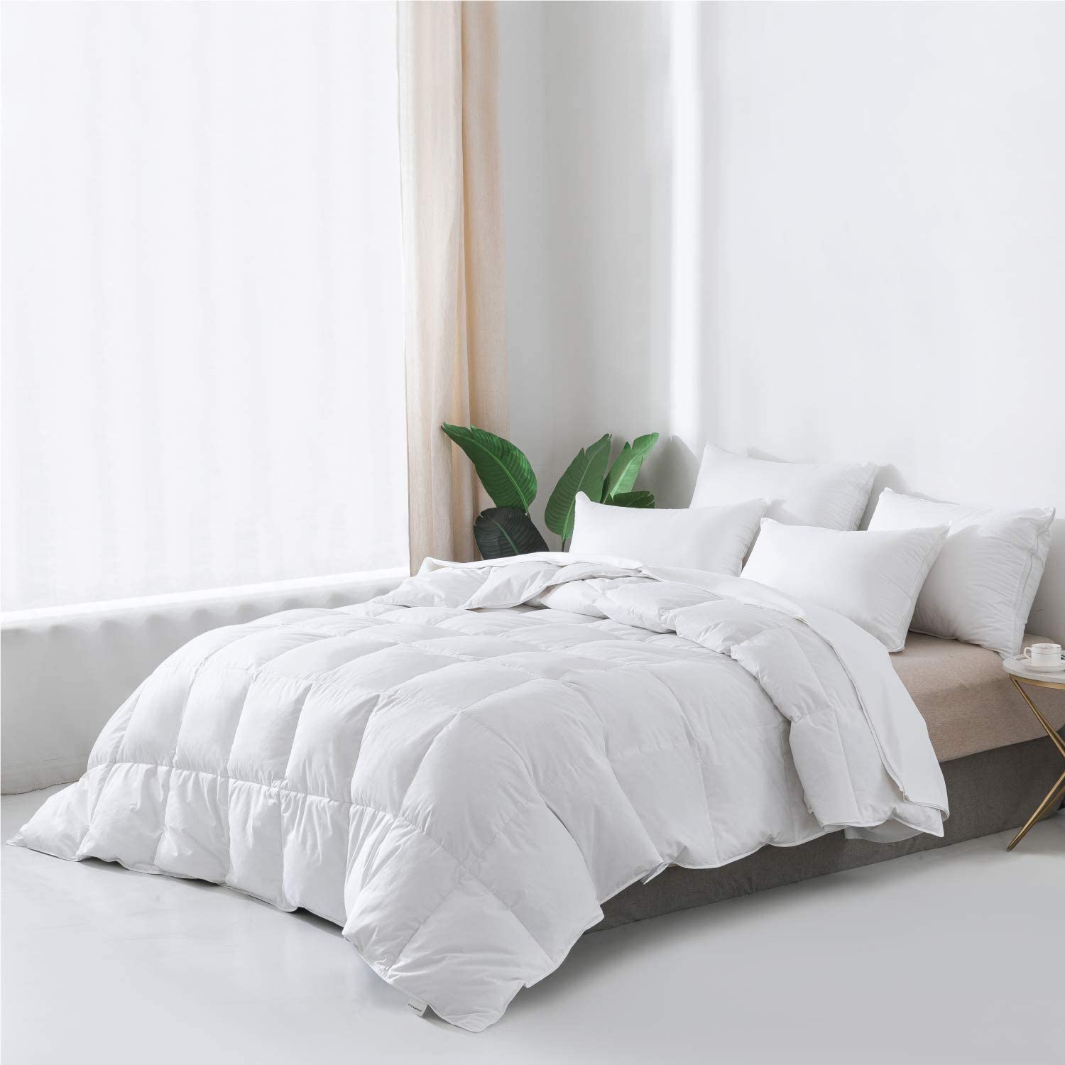 Everspread Essential All-Season Goose Down Comforter Duvet Insert, Luxury  Goose | eBay
