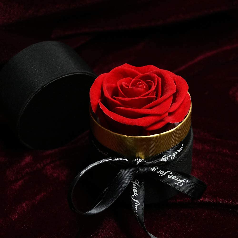 Preserved Flower Rose Handmade Fresh Flower Rose with Angel Wing L Details about   Eternal Rose 