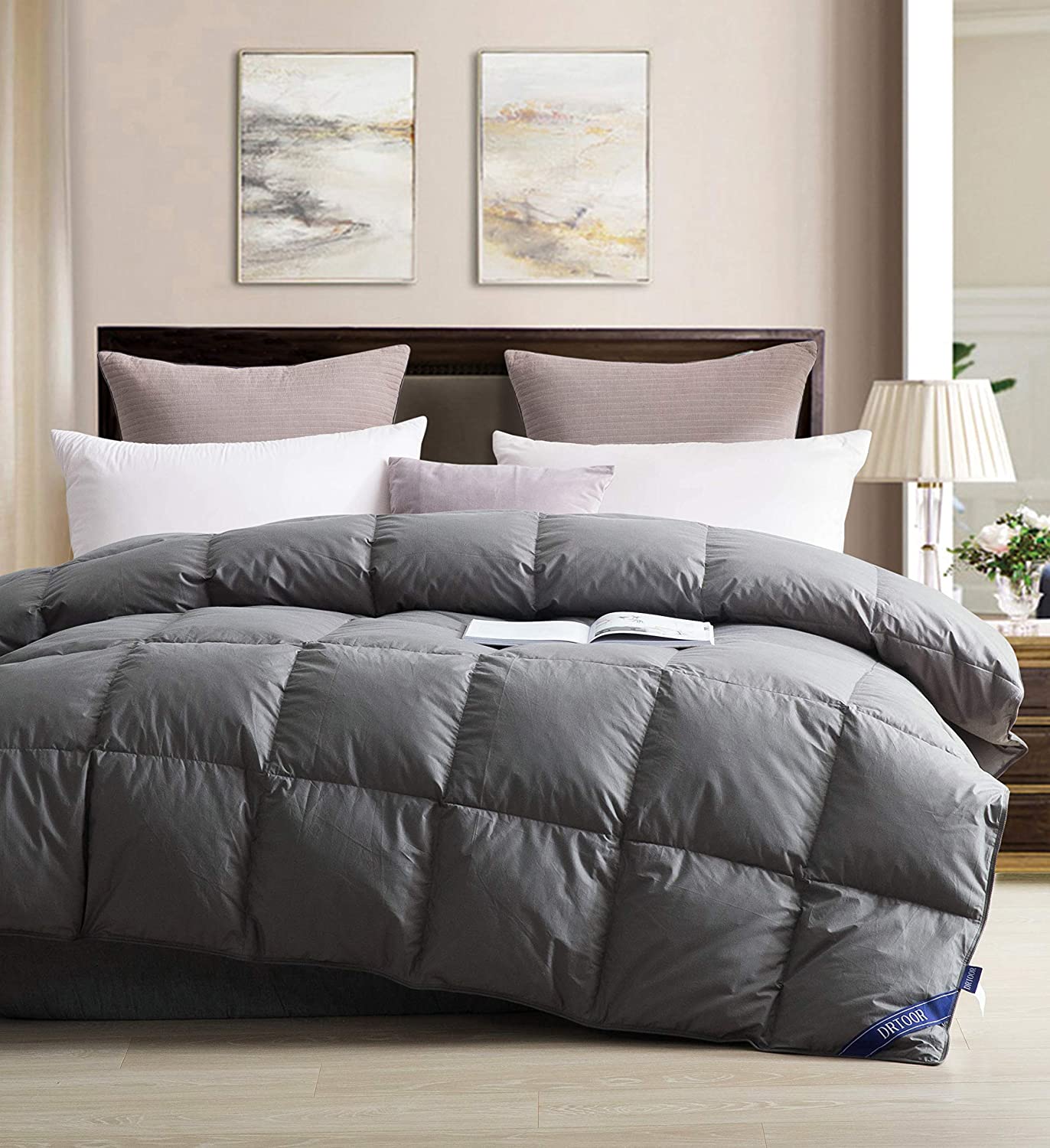 All Seasons Queen Duvet Insert 100% Hypoallerg Details about   drtoor Luxurious Down Comforter 