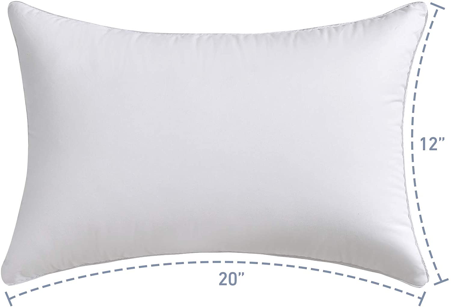 Leeden 20 x 20 Pillow Inserts (Set of 2) - Throw Pillow Inserts with ...