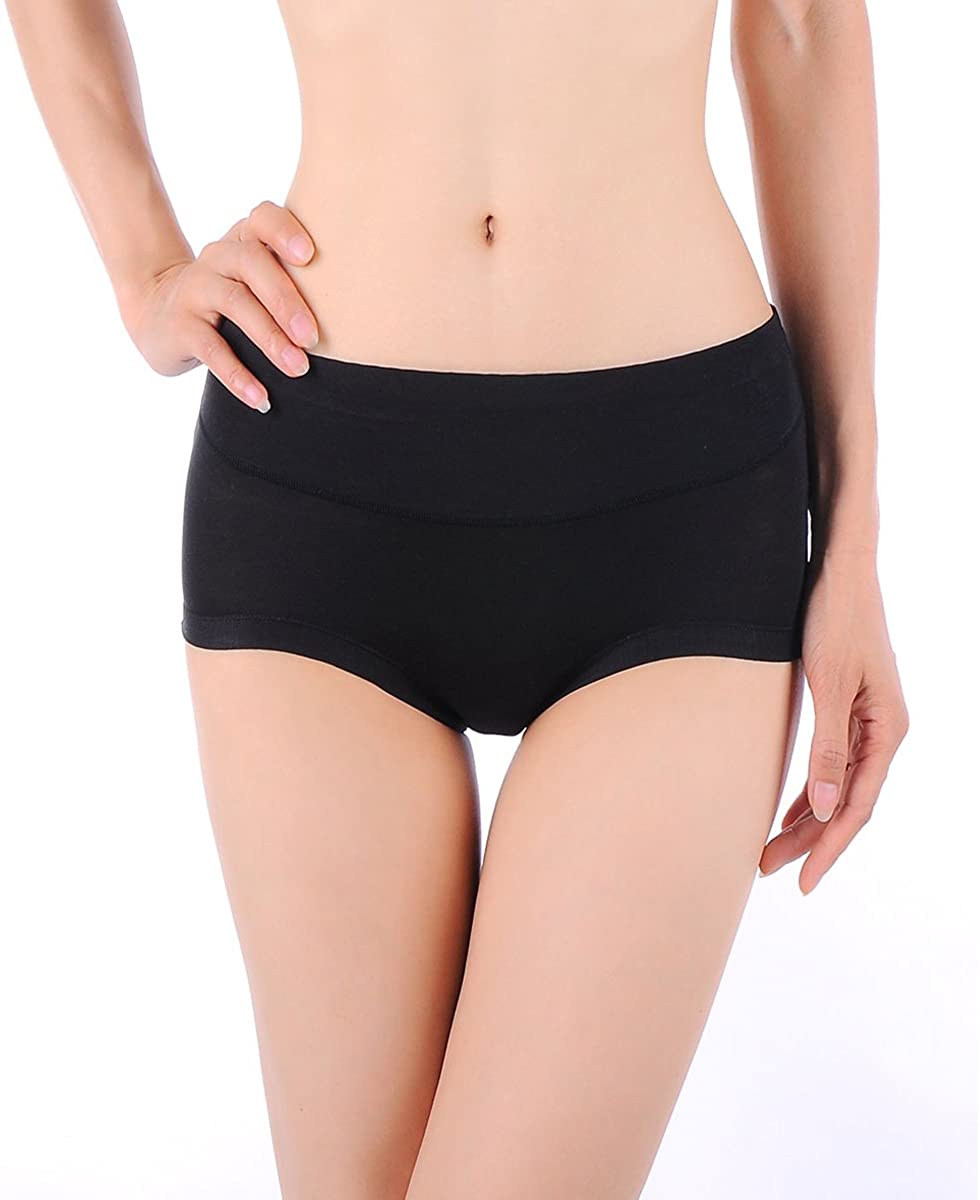 Lashapear Women S Underwear Super Soft Modal Bamboo Fiber Stretchy Briefs Pantie Ebay