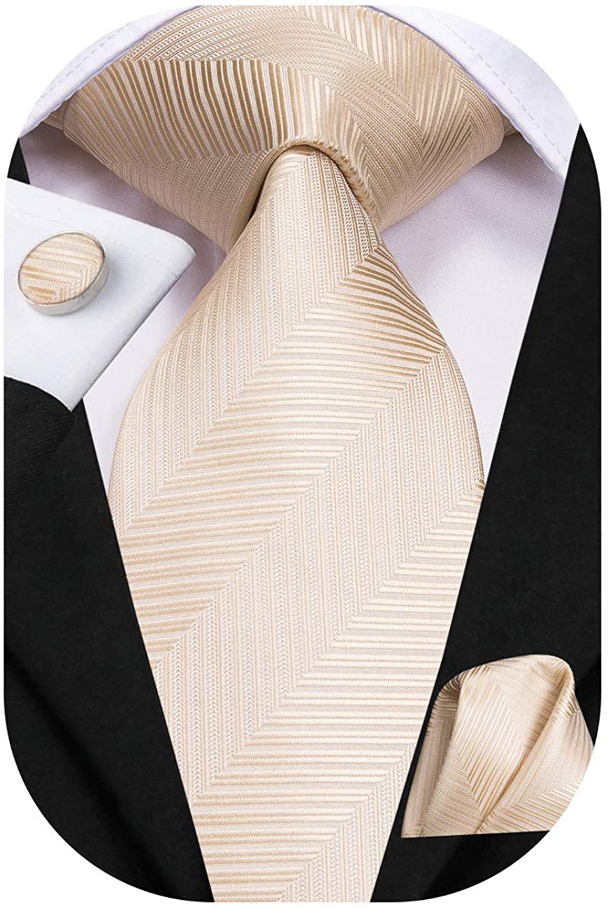 Details about   Dubulle Mens Paisely Silk Tie for Men Necktie and Pocket Square Set 