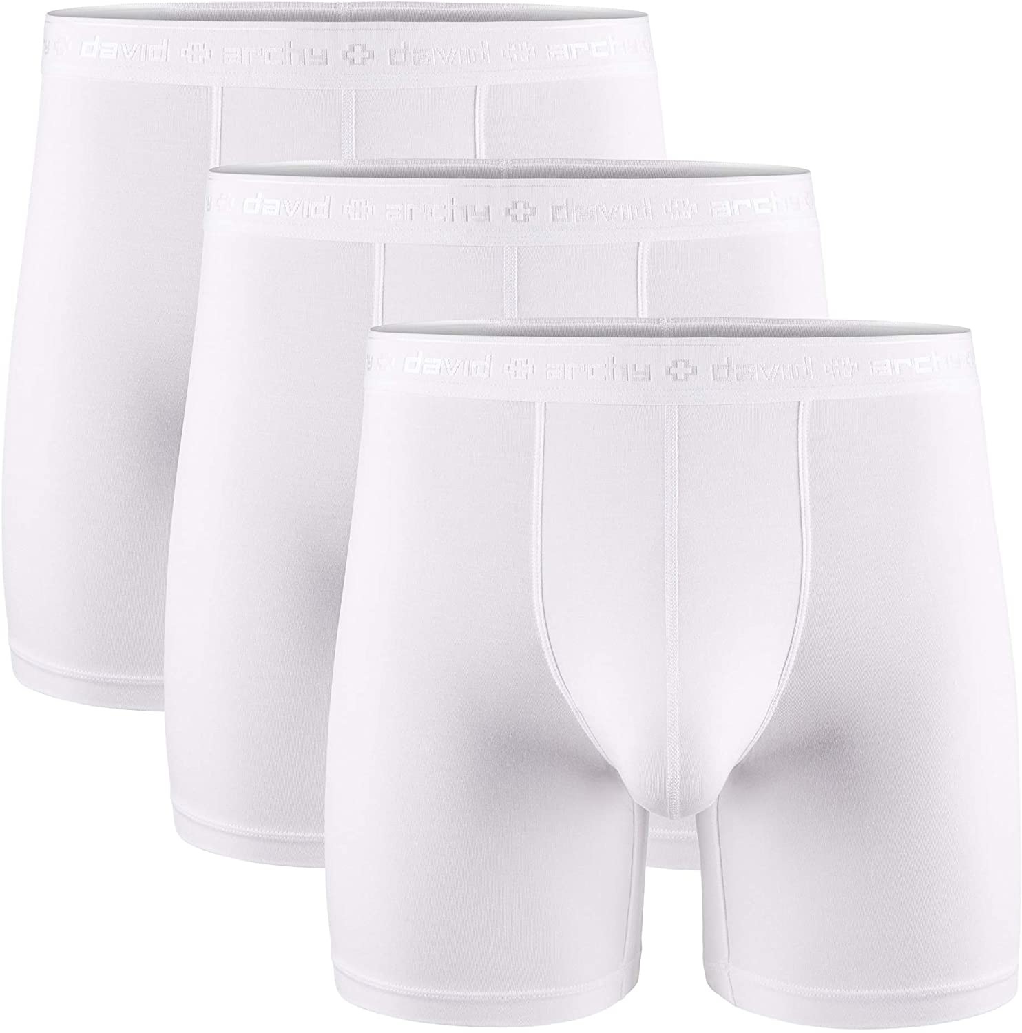 DAVID ARCHY Mens 3 Pack Underwear Micro Modal Separate Pouches Boxer Briefs with Fly 