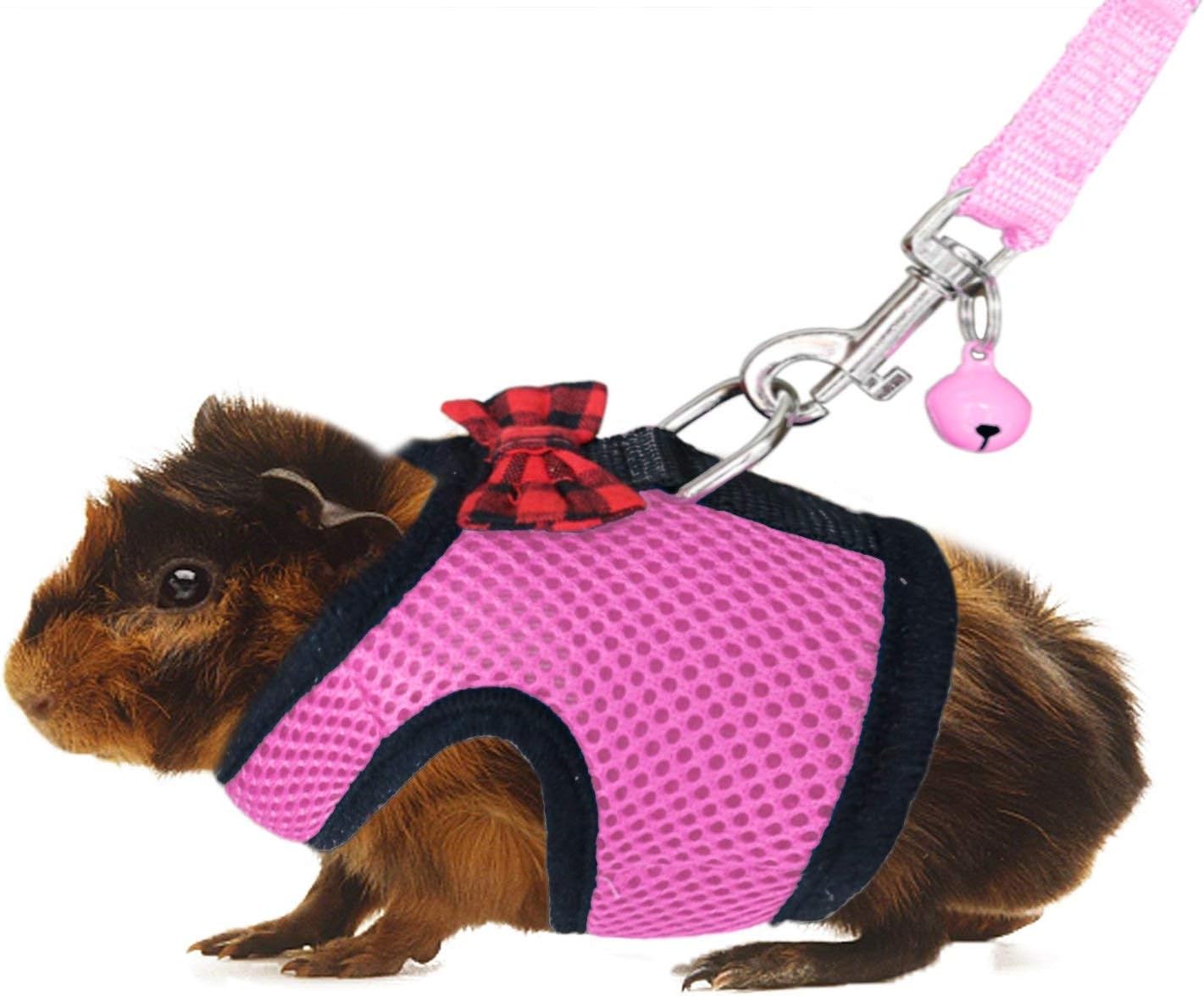 Guinea sale pig harness