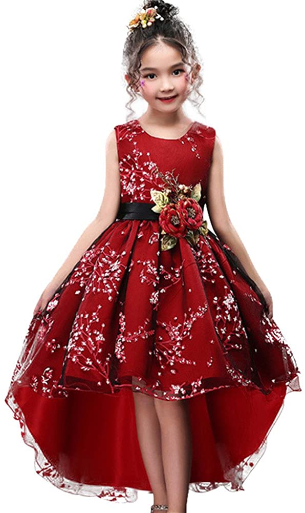Flower Girl Birthday Pageant Wedding Party Formal Princess Kids Dress Size 3-14 