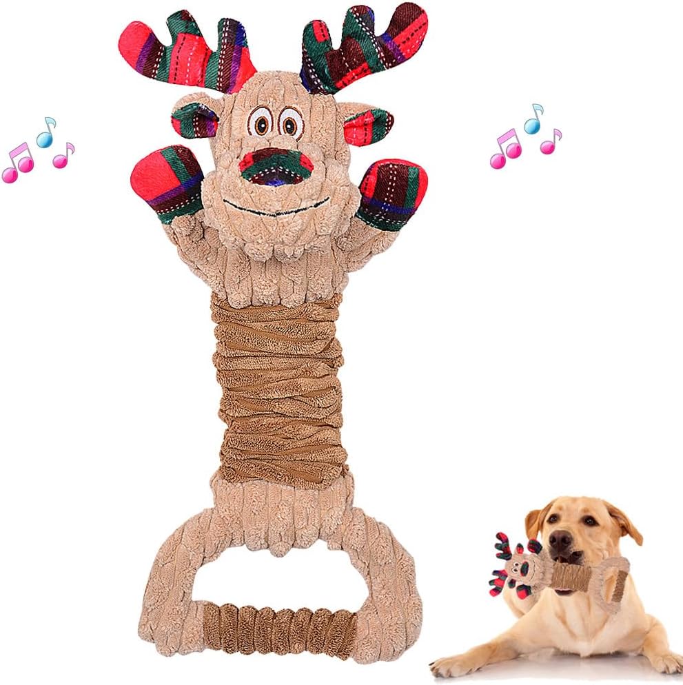 14 Indestructible Dog Toys for Heavy Chewers