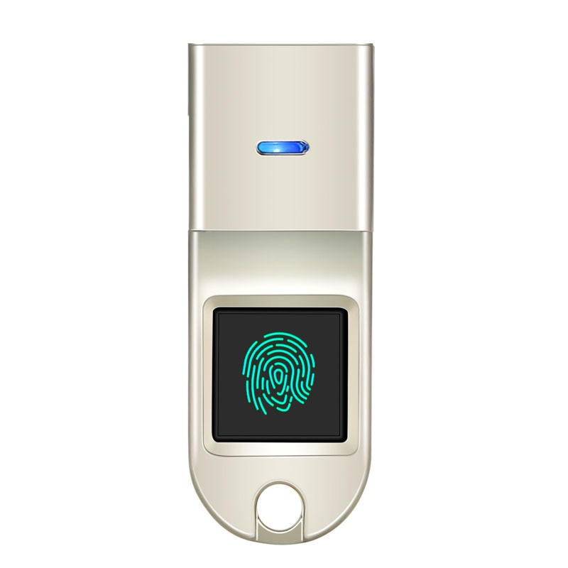 Encryped Finger Print Pen Drive 128GB 64GB  Fingerprint Pendrive 256GB 32GB USB Flash Drive 3.0 16GB Memory Stick For PC-1